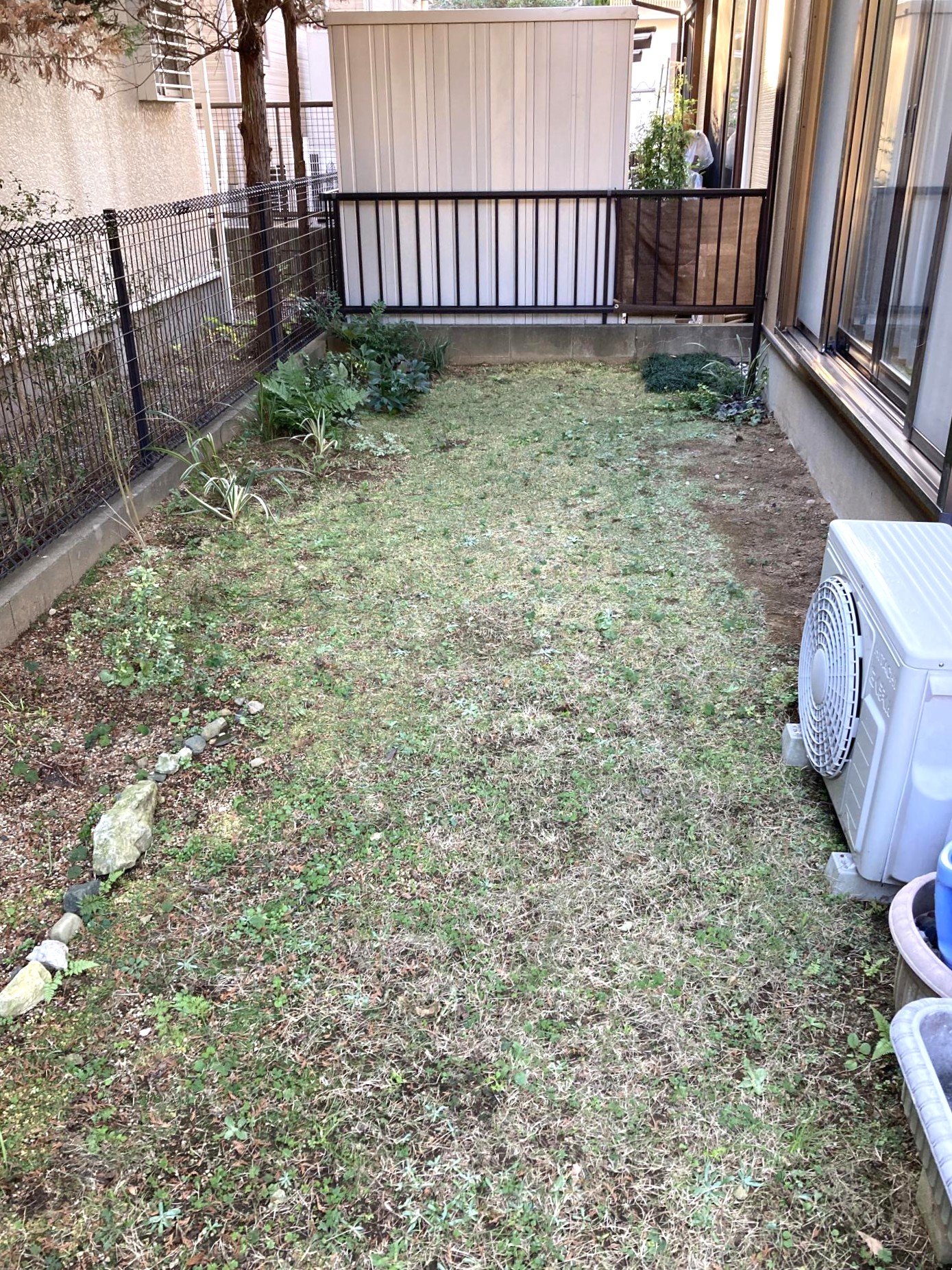 beforeの写真